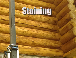  Manning,  South Carolina Log Home Staining